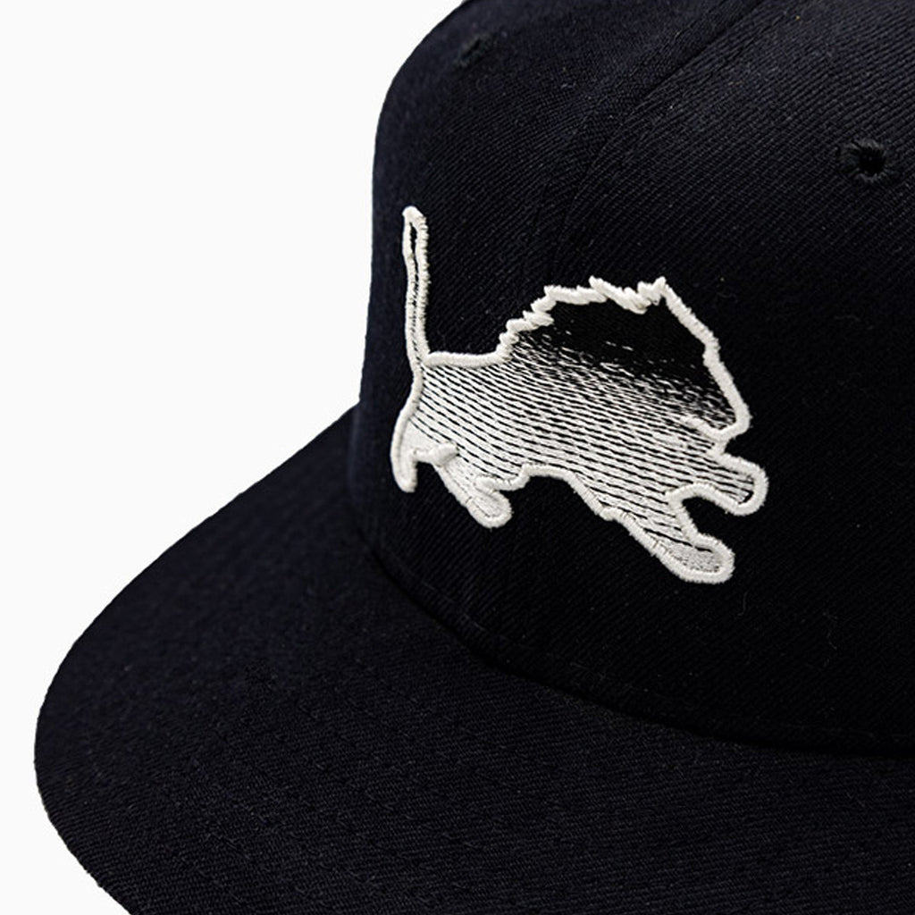 Detroit Lions NFL 59FIFTY Fitted Hat