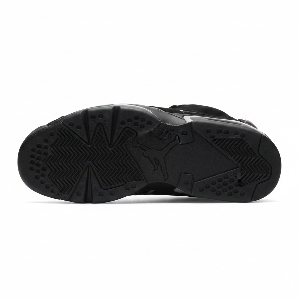 Air Jordan 6 Retro "Cap and Gown"